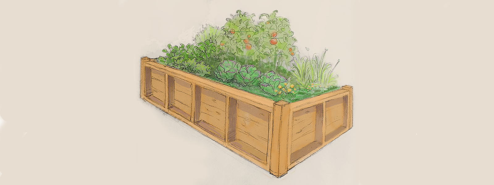 Quick Start Vegetable Gardens